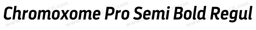 Chromoxome Pro Semi Bold Regular字体转换